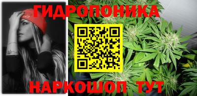 прущие грибы Мариинск