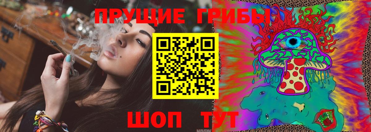 Галлюциногенные грибы прущие грибы Губкинский
